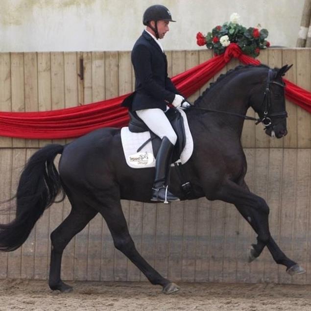 Atterupgaards Foxtrot købte Michael som føl på Eliteauktionen. Efter uddannelsen til Grand Prix blev den solgt til Sverige.