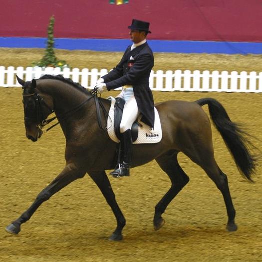 Finale e. Final Prydsholm/Alibi (opdr. Ruth og Jørgen Søgaard) født i 1993. Michael og Finale vandt sølv ved DM i dressur i 2002 og var på det danske landshold ved EM i 2003. Sammen opnåede ekvipagen en række internationale sejre og placeringer, inden Finale blev solgt til familien Bøllingtoft.