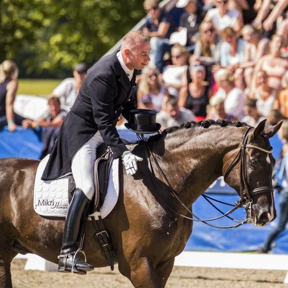 Gallardo (født 2008) e. Gribaldi / De Niro, avlet af Iben Kamp. Michael købte Gallardo som føl, og han gik Grand Prix som 8 års. Han var super lærenem, ikke den store gangmaskine, han går nu i USA.